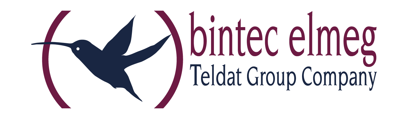 Logo bintec elmeg GmbH print